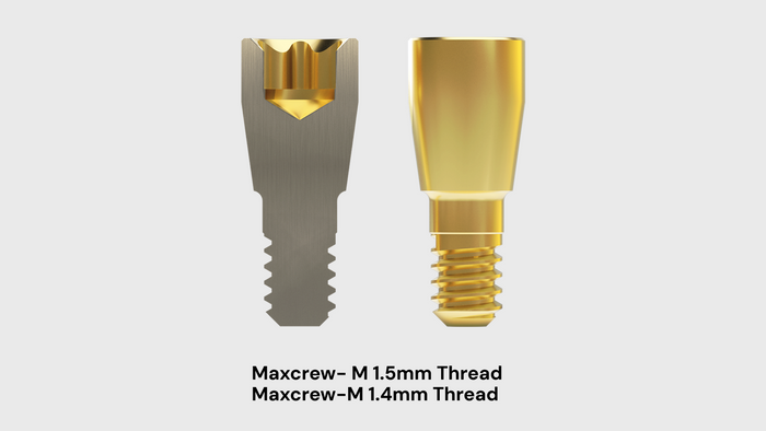 Cementless Locking Screw