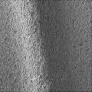 SEM detail