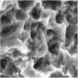 SEM detail