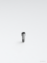 MIS-Compatible CONNECT Screw