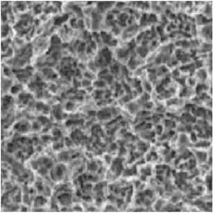 SEM detail