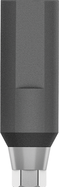Scan Body